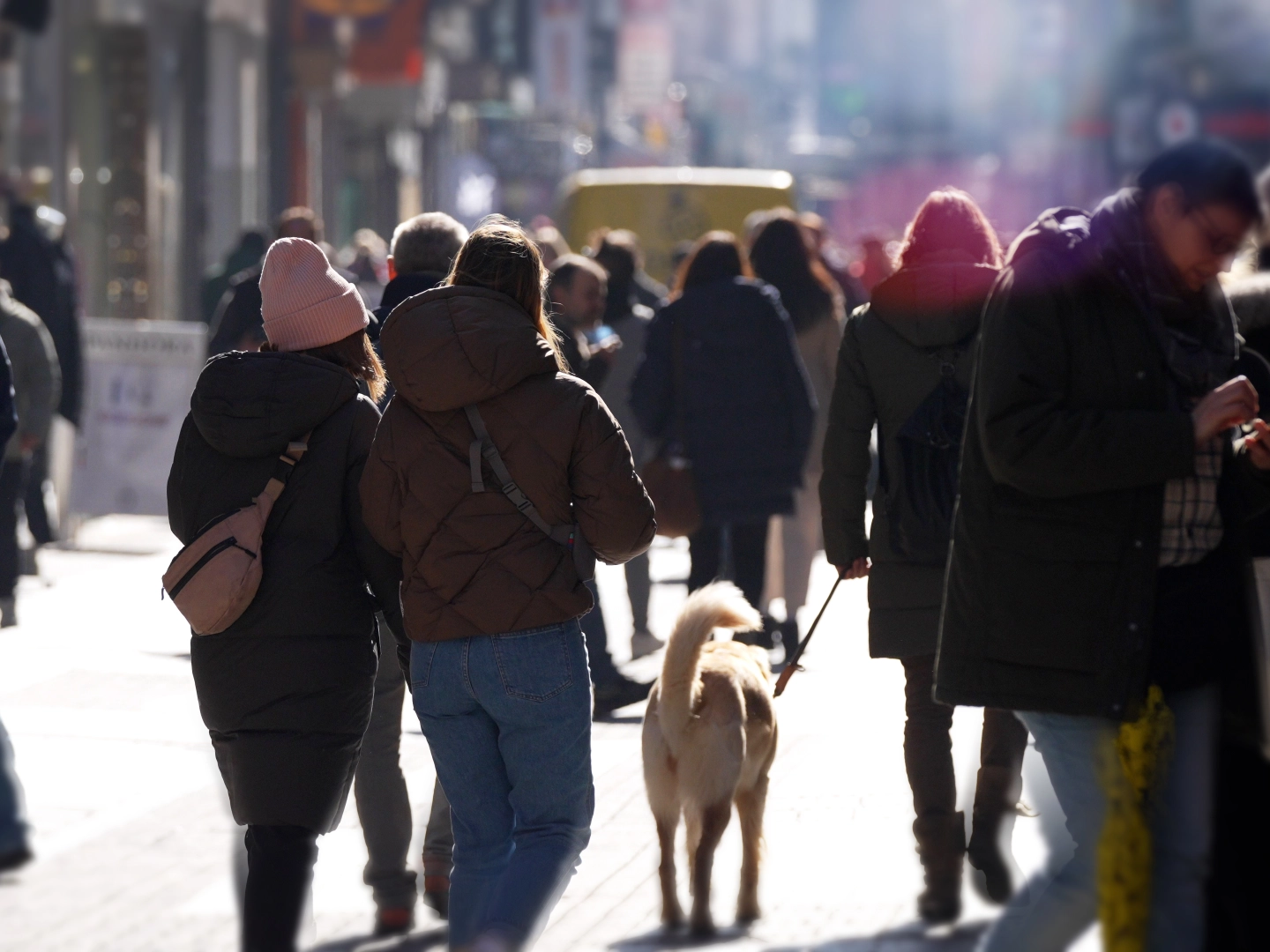 Menschen und ein Hund in der Fußgängerzone einer Stadt.